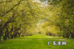 抖音小店怎样有生意？有哪些技巧？