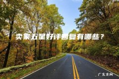 卖家五星好评回复有哪些？