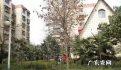 上海买房首付需要多少？上海买房子需要什么条件？