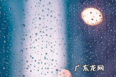 抖音小店收钱在哪里查？商家如何结算？