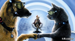 宠物用品入驻抖音资费标准 宠物抖音怎么开小店