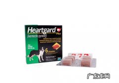 犬心保和别的几类狗驱虫药的差别