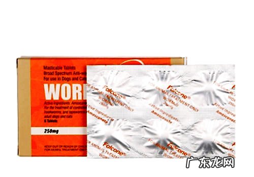 狗狗打虫药的使用方法与使用量