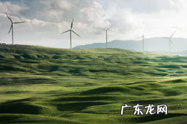 拼多多成交率多少算正常?如何提高成交率?