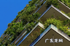 拼多多官方补贴是不是正品？如何提升销量？