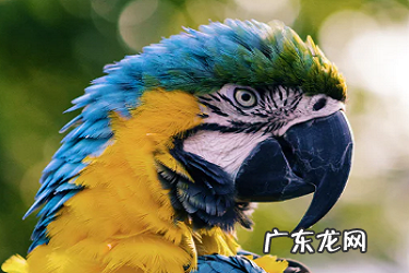 拼多多店铺优惠券在哪里设置?有哪些规则?