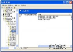 safari浏览器？ Internet Explorer浏览器的设置