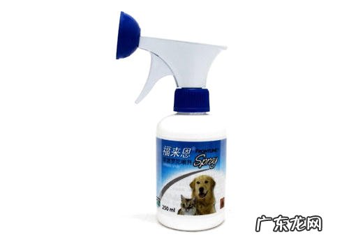 狗狗驱虫的恰当流程是啥?