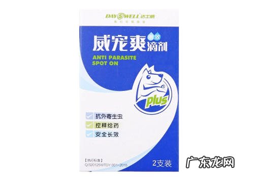 狗狗皮肤病的原因是什么?