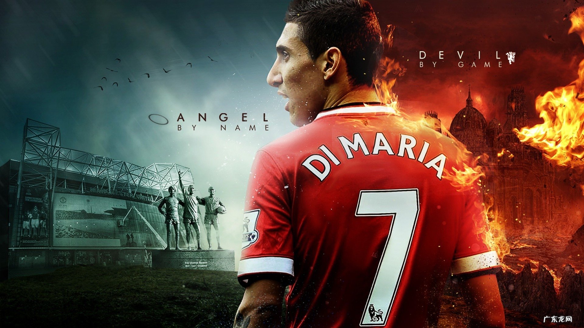 能否分享下人体血型与减肥方面的知识,谢谢?