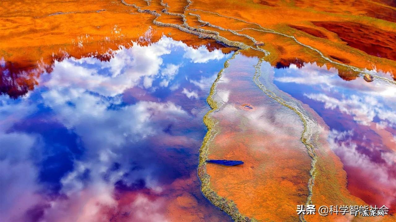 人工智能最典型的案例 人工智能电影解析