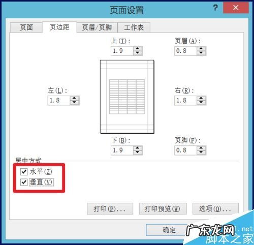 excel表格居中怎么设置? 在excel表格中怎么居中打印?