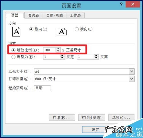 excel表格居中怎么设置? 在excel表格中怎么居中打印?