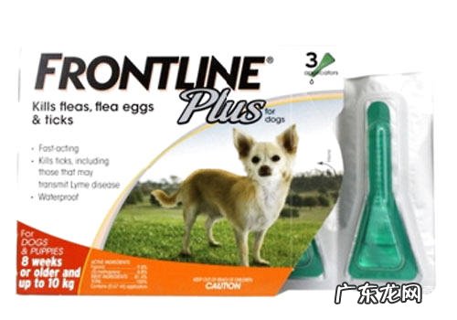 狗皮肤病的种类有什么?