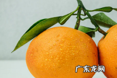 拼多多差2金币需要多少人？有哪些技巧？