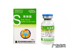 狗狗感冒可以吃什么药物？