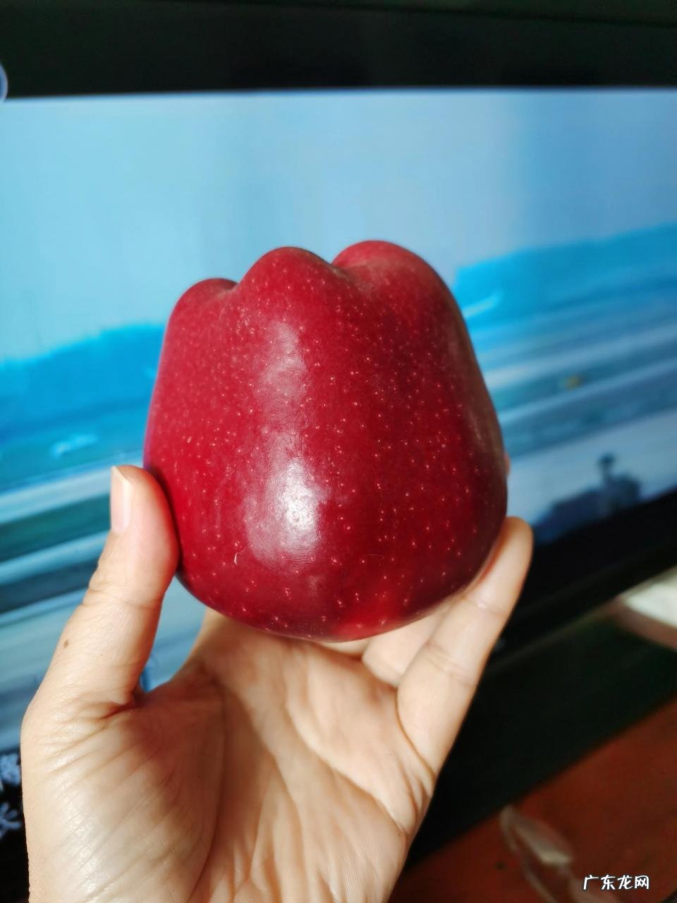 什么是财务杠杆?财务杠杆效应产生的原因是什么?