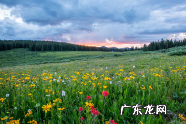 多多买菜收货点怎么赚钱?有哪些赚钱方式?