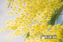 拼多多自提点怎么赚钱？能赚到钱吗？