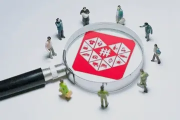 拼多多点击高涨店铺权重吗？店铺关注有权重？