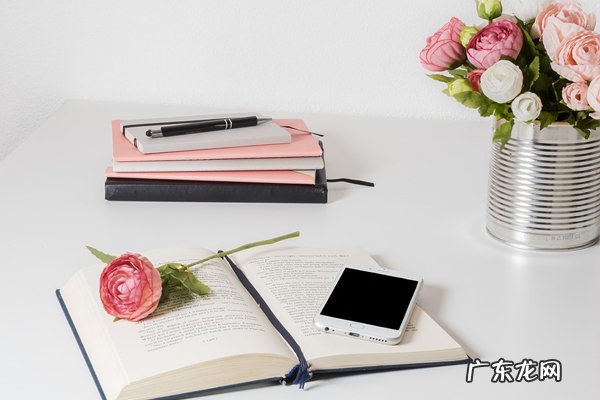 天猫开店多久可以报名双11?不能报怎么办?