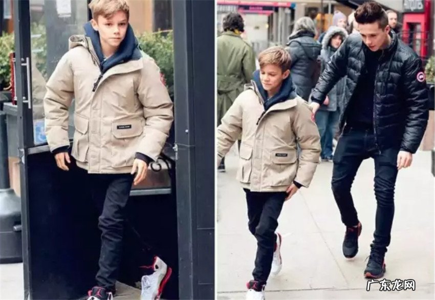 加拿大鹅为什么那么贵?好在哪里?是智商税吗 ?