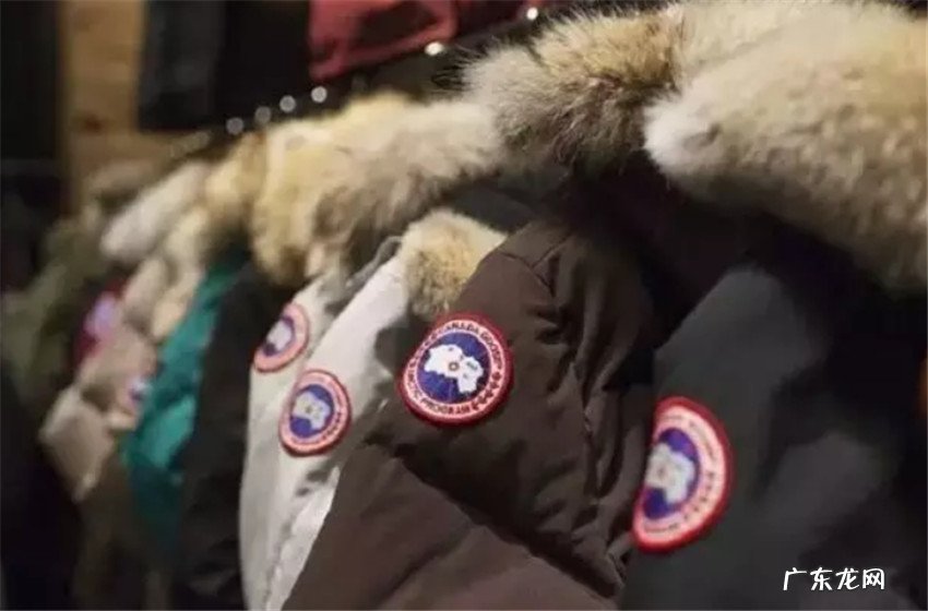 加拿大鹅为什么那么贵?好在哪里?是智商税吗 ?