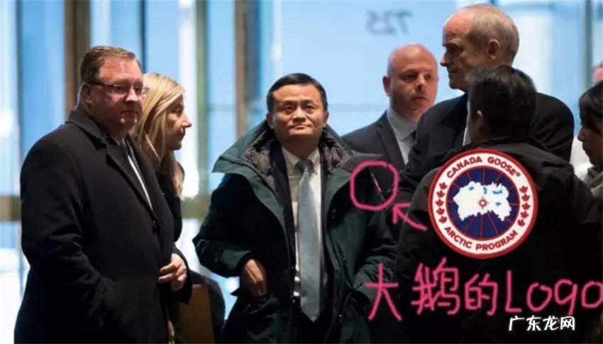 加拿大鹅为什么那么贵?好在哪里?是智商税吗 ?