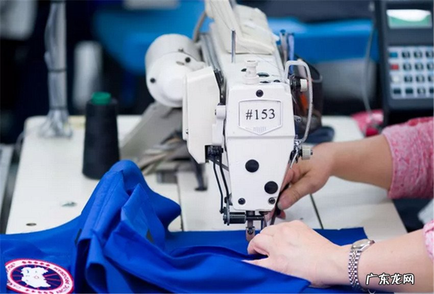 加拿大鹅为什么那么贵?好在哪里?是智商税吗 ?