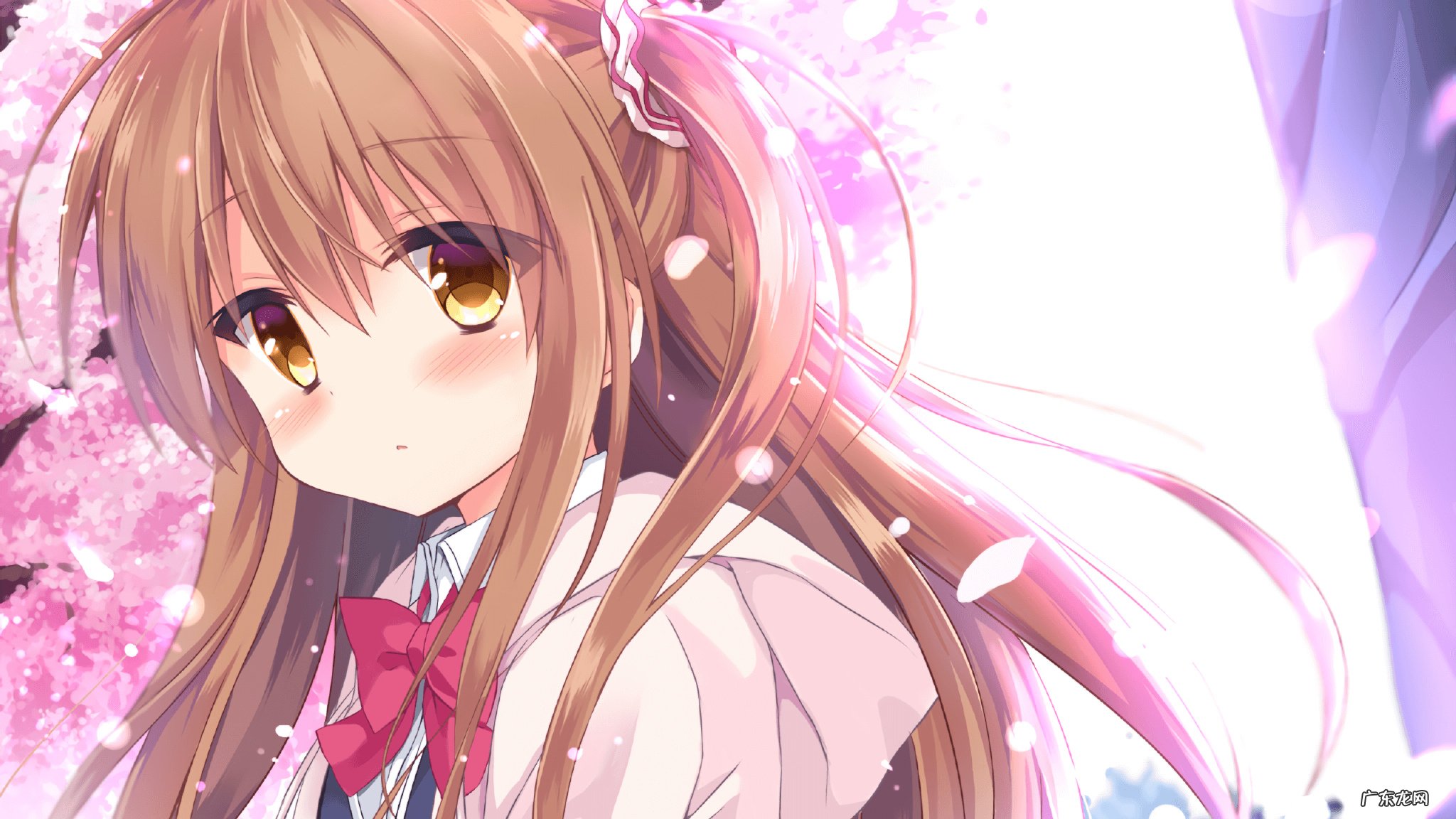 谁知道玉米油跟花生油哪一个热量低?