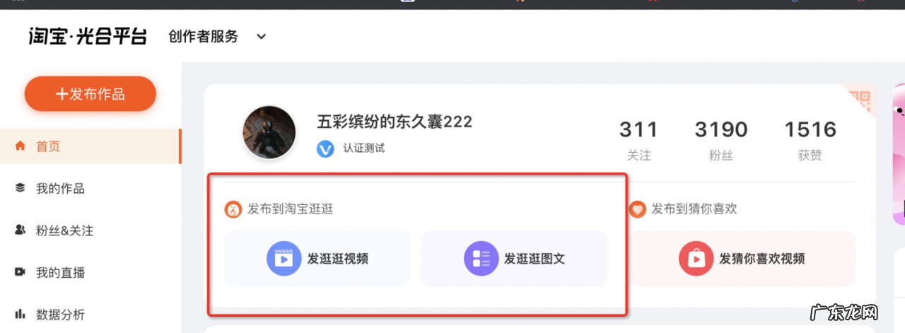 双十一种草活动在哪里?如何才能被收录?