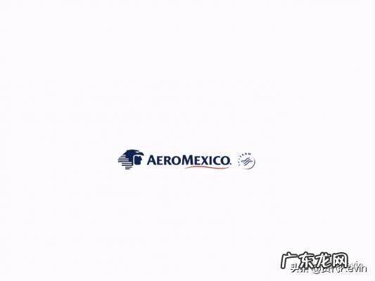 天合联盟成员航空公司中国有哪些 天合联盟