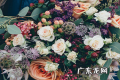 拼多多退款是退到哪里 拼多多退款是原路退回吗