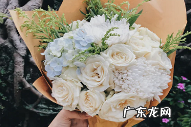 拼多多退货最迟多少天 拼多多延迟发货后多少天自动退款