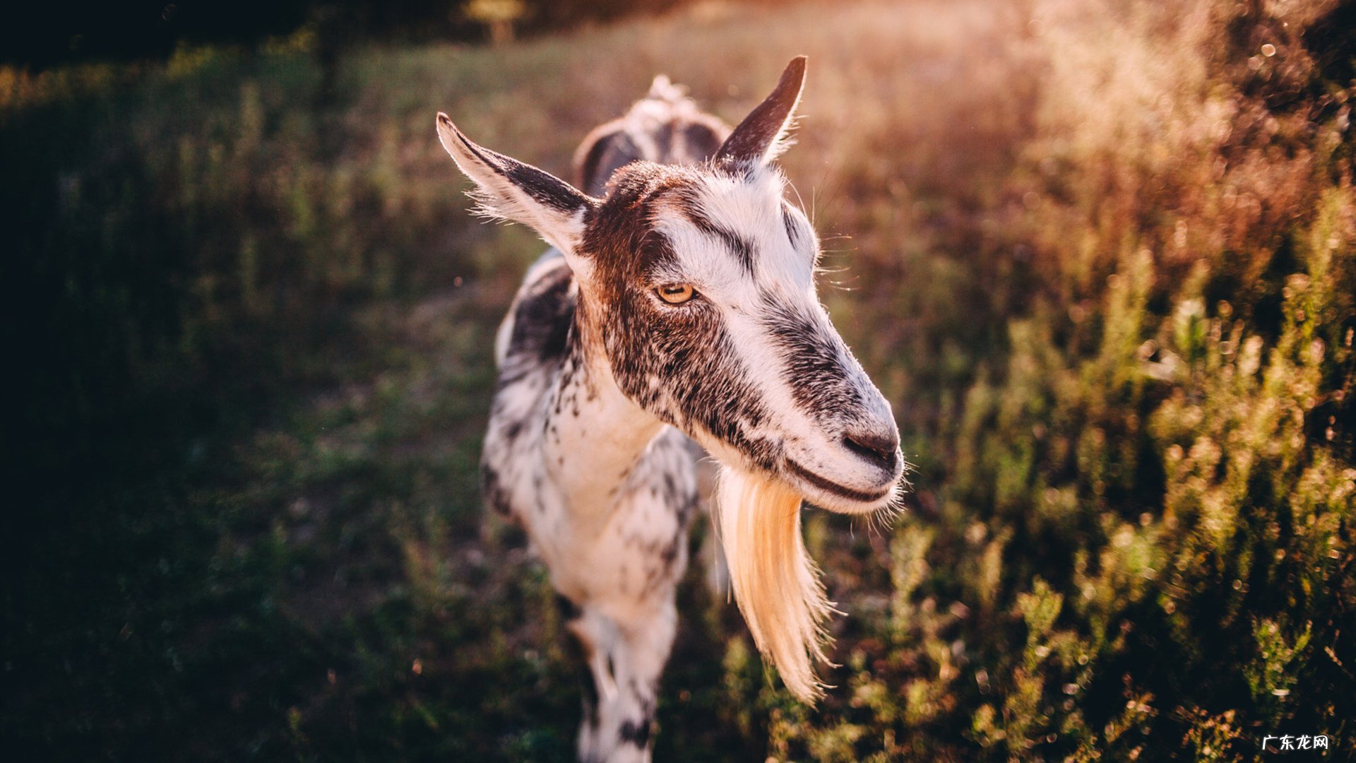 我的女孩韩剧 最近更新的韩剧，女主角减肥力度很大的，名字很绕口。