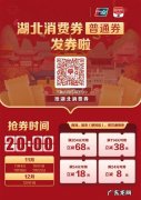 湖北双11消费券今晚8点继续发放