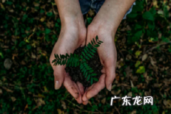 拼多多店铺怎么设置多多批发 拼多多店铺怎么设置区域购买