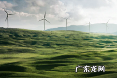 拼多多全年交易额 拼多多成交率多少算正常