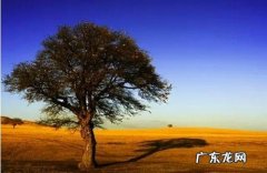 淘宝多少件会提醒库存紧张？库存设多少较好？