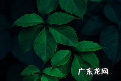 抖音小店如何设置售后地址？有哪些流程？