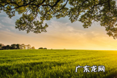 拼多多买了就退 拼多多退款后还能再次购买吗