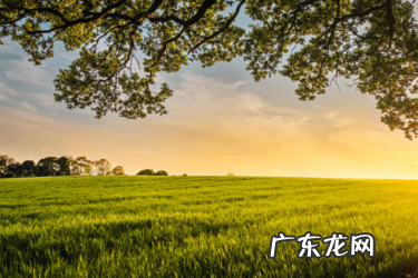 拼多多买了就退 拼多多退款后还能再次购买吗