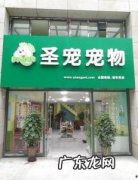开个小宠物店大概需要多少钱 开宠物店费用