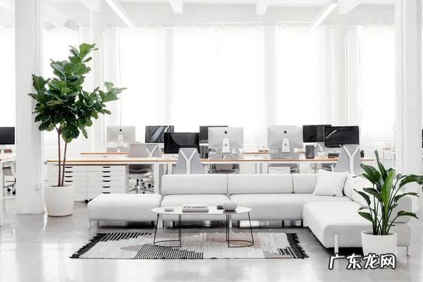 天猫双十一手机购物券怎么领?买手机注意啥?