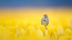 拔火罐可以拔小腿吗 拔火罐能瘦腿吗~~效果怎么样