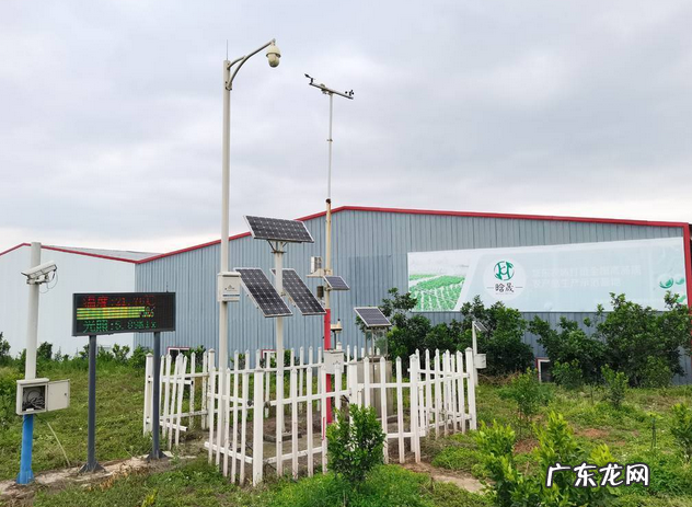 农业标准化的内容 如何推进农业标准化生产