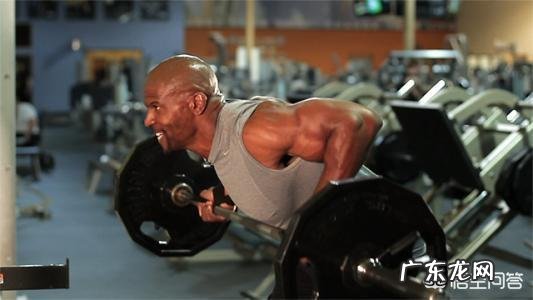 t杠划船和杠铃划船都是很好的练背动作，该如何选择？