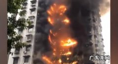 最近发生的重庆事件 重庆事件