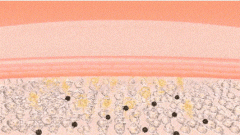 化妆品美白成分有哪些？哪个美白效果最好？