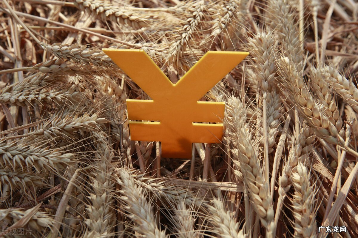 物价飞涨,为什么我们的工资不涨?